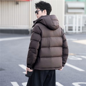 标90白鸭绒连帽加厚品牌款男装羽绒服冬季外套C317-Y686-P385图片