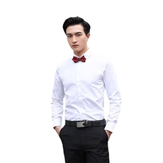 LY8589-C-MP29四季商务衬衫男士修身学院风正装衬衣正装内搭衬衫，男装衬衫，星座510A-2