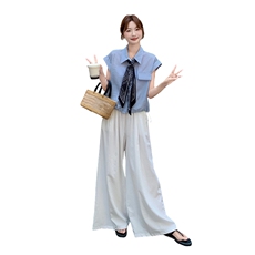 蓝色无袖背心上衣阔腿裤套装女2025年夏季新款时尚独特穿搭一整套，女装套装/套裙，2D078