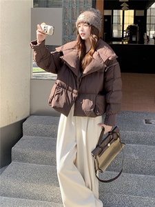 衣秀之家2319款短款大翻领加厚时尚羽绒服冬季保暖外套女图片