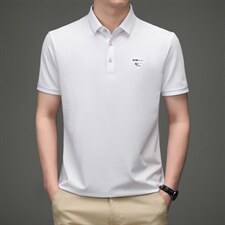 男士新款休闲时尚翻领体恤上衣夏季新款中年纯色休闲百搭潮流男装，男装T恤，电商B212（原钱塘6029）