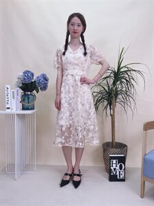 现货夏季新款风盘扣烧花连衣裙图片