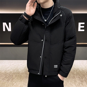 DS-A225标2025冬季新款男士立领时尚潮流白鸭绒羽绒服夹克55888图片