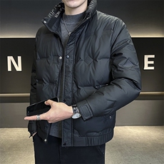 2025数据男士冬季羽绒服立领百搭鸭绒保暖青年夹克外套，男装羽绒服，电商A225