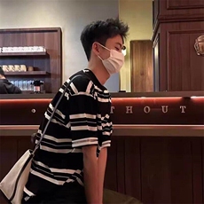条纹圆领短袖上衣男款韩版设计休闲宽松潮流百搭半袖t恤L2810-P39，男装T恤，星座1008