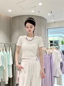 现货 链条T，其它，DS-1