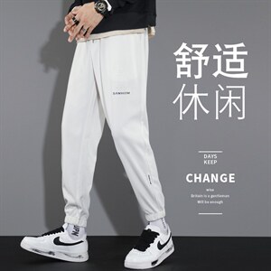 休闲短裤男夏季薄款冰丝透气长裤男时尚直筒裤子男夏季大码图片