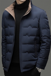 CSYR96717钱塘2020-2中年男士时尚休闲简约冬季厚款羽绒服P270图片