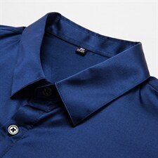 高端衬衫男春秋季新款长袖中年商务休闲时尚免烫衬衣薄款，男装衬衫，电商B212（原钱塘6029）