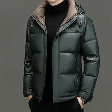 DF888钱塘2020-2冬季厚款时尚休闲简约中年男士羽绒服P303，男装羽绒服，钱塘207-2
