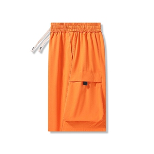 直供短裤5个颜色货号2569—P25尺码S—4XL 面料聚酯纤维图片