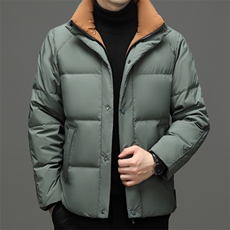 BN3392钱塘2020-2中青年男士纯色时尚休闲百搭保暖羽绒服P245，男装羽绒服，钱塘207-2