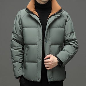 BN3392钱塘2020-2中青年男士纯色时尚休闲百搭保暖羽绒服P245图片
