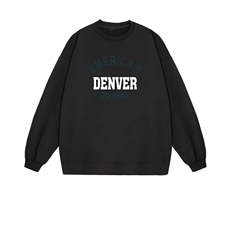 2025年秋季套头通勤时尚百搭通勤简约休闲字母，女装卫衣/绒衫，花可