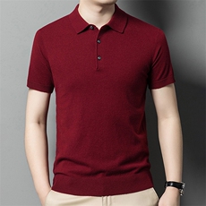 2025年秋季套头青春流行时尚都市短袖衬衫领12针T恤半袖，男装羊毛衫，犀桦羊绒