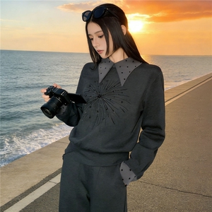 高级感设计时尚套装女春新款拼接衣领衣袖烫钻订珠卫衣阔腿裤套装图片
