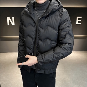 AK87885钱塘2020-3冬季厚款时尚休闲百搭简约中年男士羽绒服P155图片