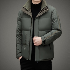 冬季新款立领加厚保暖羽绒服男士中年商务休闲上衣男装宽松外套，男装羽绒服，电商B212（原钱塘6029）