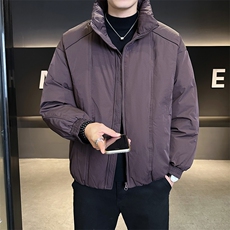 90新标2025冬立领加厚外套简约休闲短款设计款羽绒服Z9558-P295，男装羽绒服，电商A413