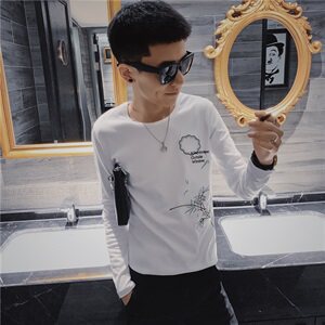 3秋季长袖修身T恤水仙刺绣社会小伙韩版潮男打底衫C301B-CT16图片