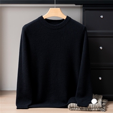 2025年秋季长袖青春流行套头圆领加厚，男装针织衫/毛衣，戎禾素