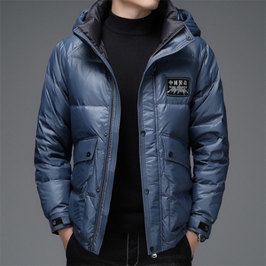 冬季可脱卸帽短款羽绒服中青年男士冬装外套上衣DFLDY3003-P320图片