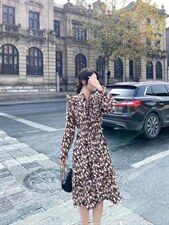 春款爆，其它，阿爆