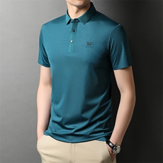 夏季新款男士翻领短袖t恤中年有领男装上衣服休闲POLO衫，男装T恤，电商B212（原钱塘6029）