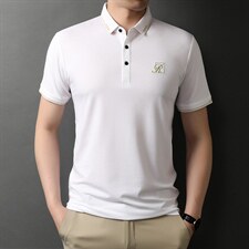 棉短袖t恤男士韩版夏季纯色T恤新品汗衫翻领polo中年男装体恤半袖，男装T恤，电商B212（原钱塘6029）