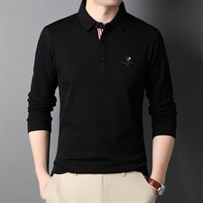 秋冬长袖男商务休闲上衣纯棉中年男士体恤翻领POLO衫潮HPN773-P75，男装T恤，电商B212（原钱塘6029）