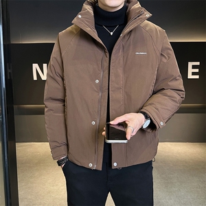 标50  短款立领纯色羽绒服男 B321-Y7901-P225图片