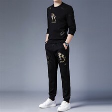 2023春秋季新款男式休闲套装圆领长袖T恤中青年长裤运动两件套，男装休闲套装，电商B212（原钱塘6029）