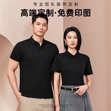 2025春季翻领工作服T恤纯色定制2299-p65，男装T恤，星座1602B（原101B-1）
