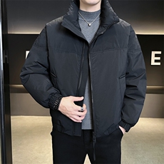 90新标2025冬设计款立领休闲加厚保暖宽松羽绒服外套5971-P295，男装羽绒服，电商A413