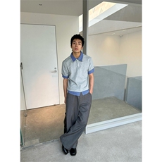 网图有货美式夏季格纹POLO领短袖衬衫男女宽松半袖上衣A598-P35，男装T恤，星座1505