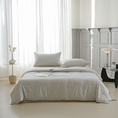 2025新款可水洗羽绒夏被被子被芯，被套/被芯，一起卖家纺