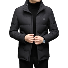 中老年羽绒服男士休闲冬季中年人爸爸装时尚外套QLMF8238-P250，男装羽绒服，电商B212（原钱塘6029）