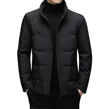 新款冬季鹅绒羽绒服男士休闲立领中青年外套夹克SNNYR86860-P220,男装羽绒服,电商B212（原钱塘6029）