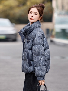 2025年冬季90白鸭绒羽绒服图片