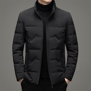 2023冬季新款立领羽绒服短款中年装加厚保暖纯色外套XX2188-P295，男装羽绒服，电商B212（原钱塘6029）