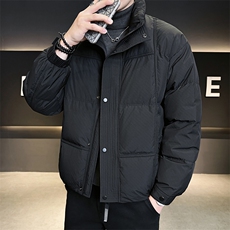 店主风2025新标90白鸭立领面包服短款羽绒服男LMS2502-P310，男装羽绒服，电商D240-242