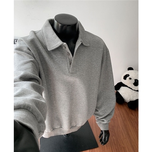 主推POLO衫卫衣秋季翻领卫衣cleanfit长袖T恤衫男装外套D464特P38图片