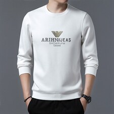 S3059钱塘2020-2秋季新款百搭时尚休闲中青年男士长袖卫衣P67，男装卫衣，钱塘207-2