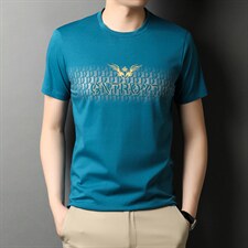 上衣宽松百搭圆领时尚2023年夏季短袖潮流中年T恤TYH2118，男装T恤，钱塘6003（原4033）