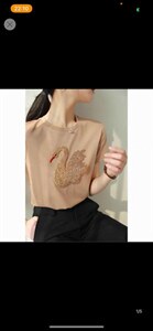 天鹅T,其它,云落伊里(1F)