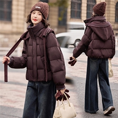2026年冬季90白鸭绒羽绒服保暖常规有帽可拆厚款韩版网红通勤简约，女装羽绒服，众宇琦