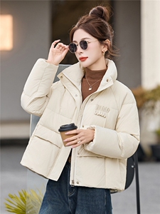 简约时尚潮流羽绒服休闲显瘦减龄冬季立领纯色女外套图片