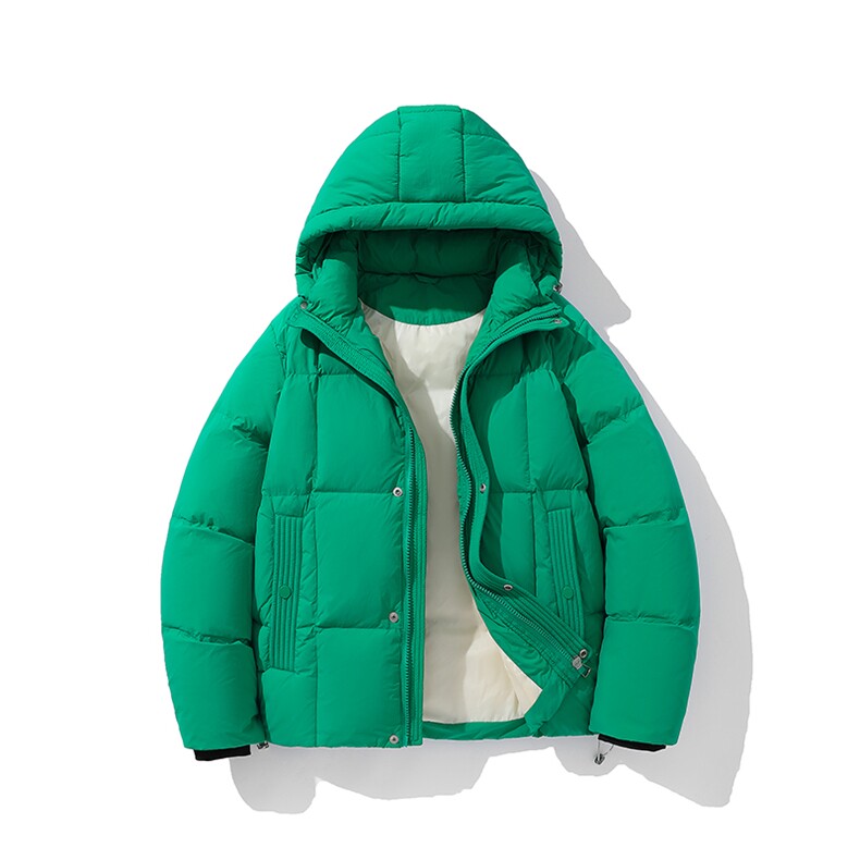 新标90白鸭绒简约休闲连帽外套纯色加厚羽绒服ESY0209-P210，男装羽绒服，电商B306