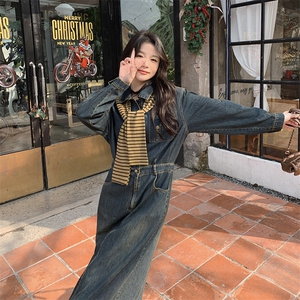 春秋季牛仔连衣裙女中长款图片