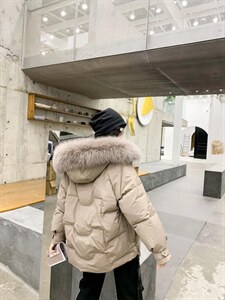 短款毛领羽绒图片